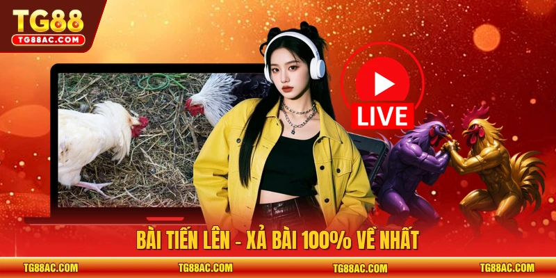 Bài tiến lên - Xả bài 100% về nhất