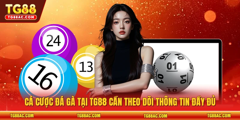 Cá cược đá gà tại TG88 cần theo dõi thông tin đầy đủ