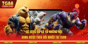 Cá cược đá gà