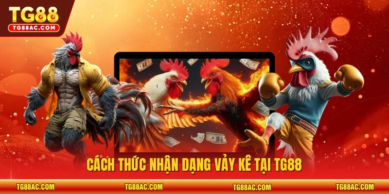 Cách thức nhận dạng vảy kê tại TG88