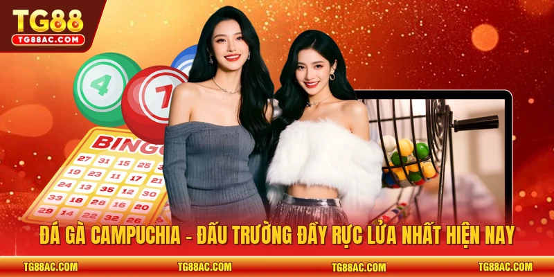 Đá gà Campuchia - Đấu trường đầy rực lửa nhất hiện nay
