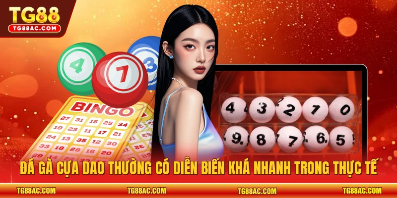 Đá gà cựa dao thường có diễn biến khá nhanh trong thực tế
