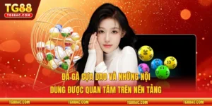 Đá gà cựa dao