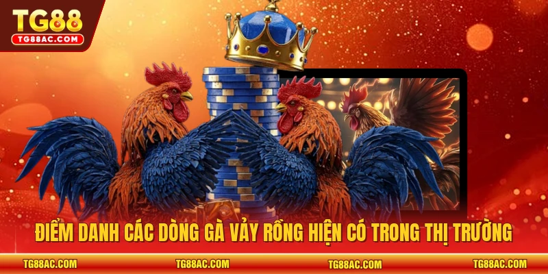 Điểm danh các dòng gà vảy rồng hiện có trong thị trường