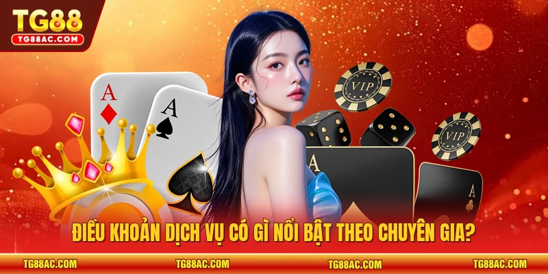 Điều khoản dịch vụ có gì nổi bật theo chuyên gia?