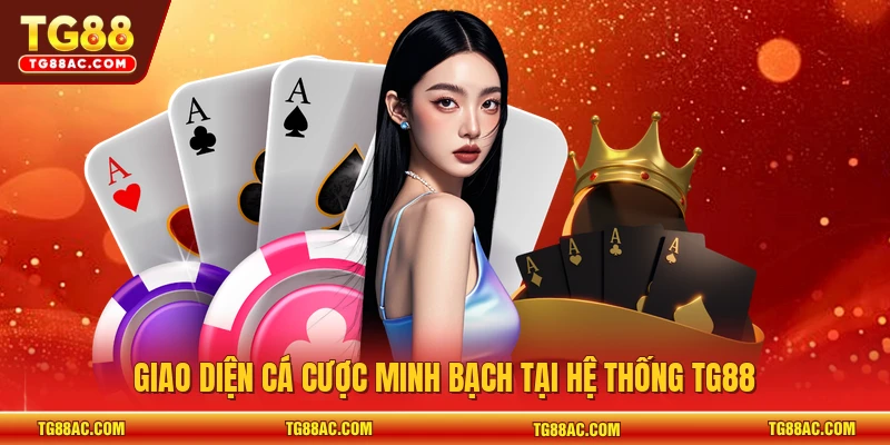 Giao diện cá cược minh bạch tại hệ thống TG88
