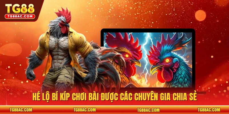 Hé lộ bí kíp chơi bài được các chuyên gia chia sẻ