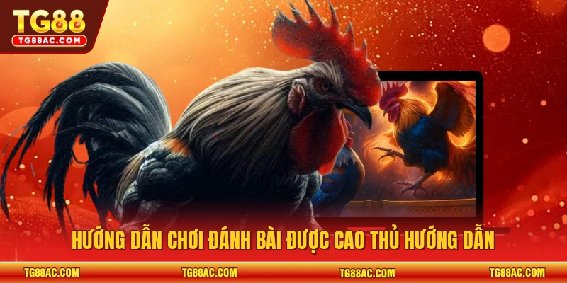 Hướng dẫn chơi đánh bài được cao thủ hướng dẫn