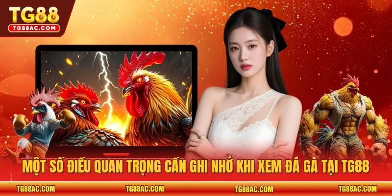 Một số điều quan trọng cần ghi nhớ khi xem đá gà tại TG88
