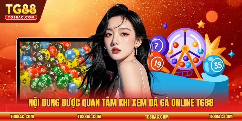 Nội dung được quan tâm khi xem đá gà online TG88