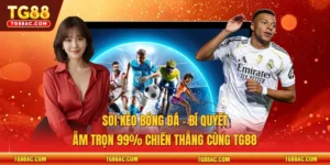 Soi kèo bóng đá