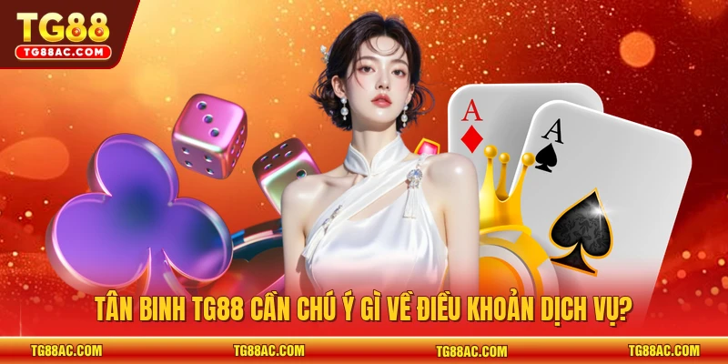 Tân binh TG88 cần chú ý gì về điều khoản dịch vụ?