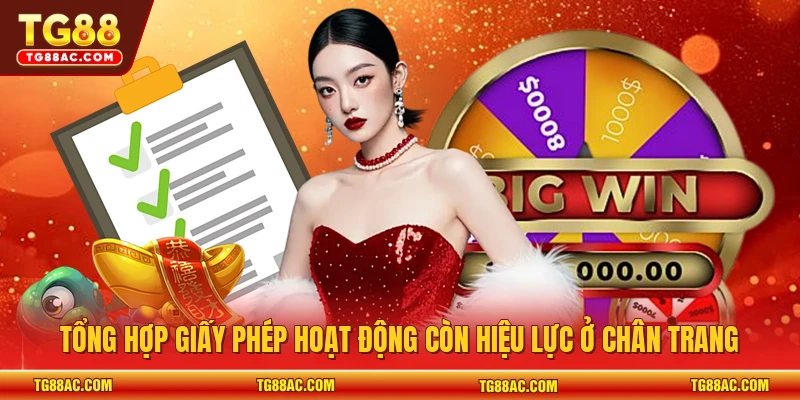 Tổng hợp giấy phép hoạt động còn hiệu lực ở chân trang