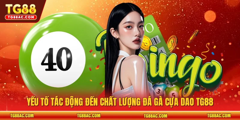 Yếu tố tác động đến chất lượng đá gà cựa dao TG88